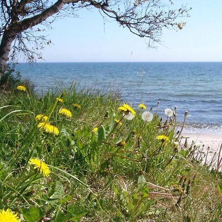 Ystad Camping Hotel Buitenkant foto