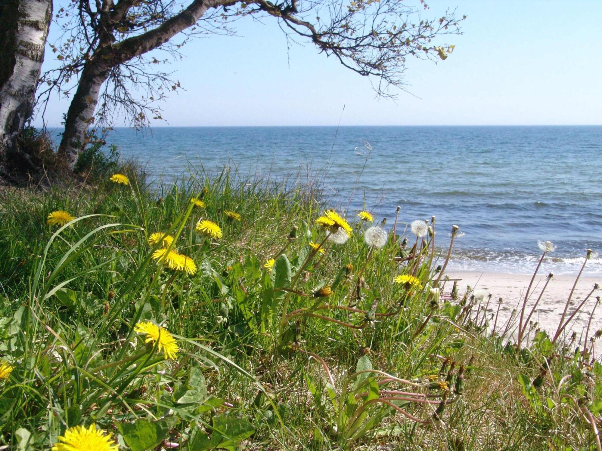 Ystad Camping Hotel Buitenkant foto